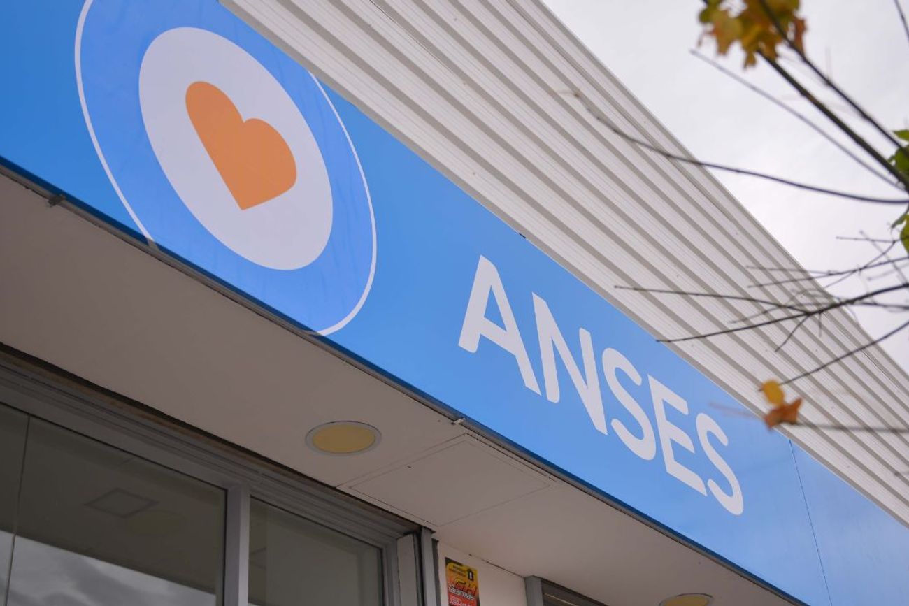 Anses. (Archivo)