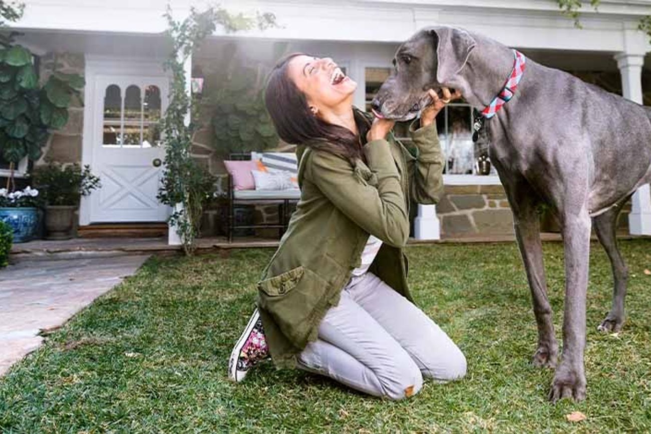 Perros grandes en casa: cómo afectan la calidad del aire según la ciencia.