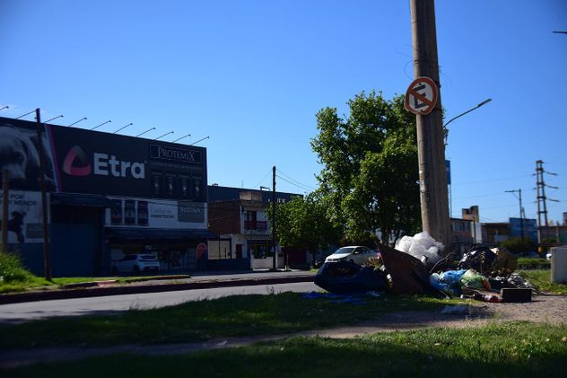 Basura acumulada en el espacio verde frente a las casas.