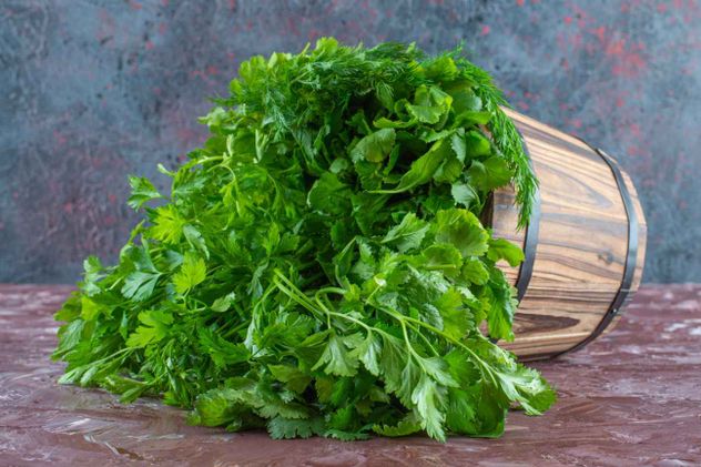 La clave para saber dónde ubicar las plantas aromáticas dentro de casa. 