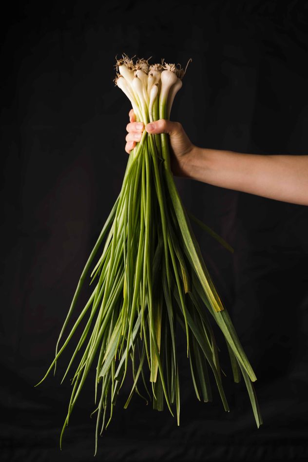 La clave para saber dónde ubicar las plantas aromáticas dentro de casa. 