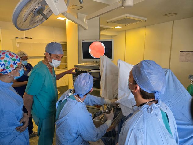 Tumores de recto: el abordaje que preserva la función intestinal y evita colostomías.
