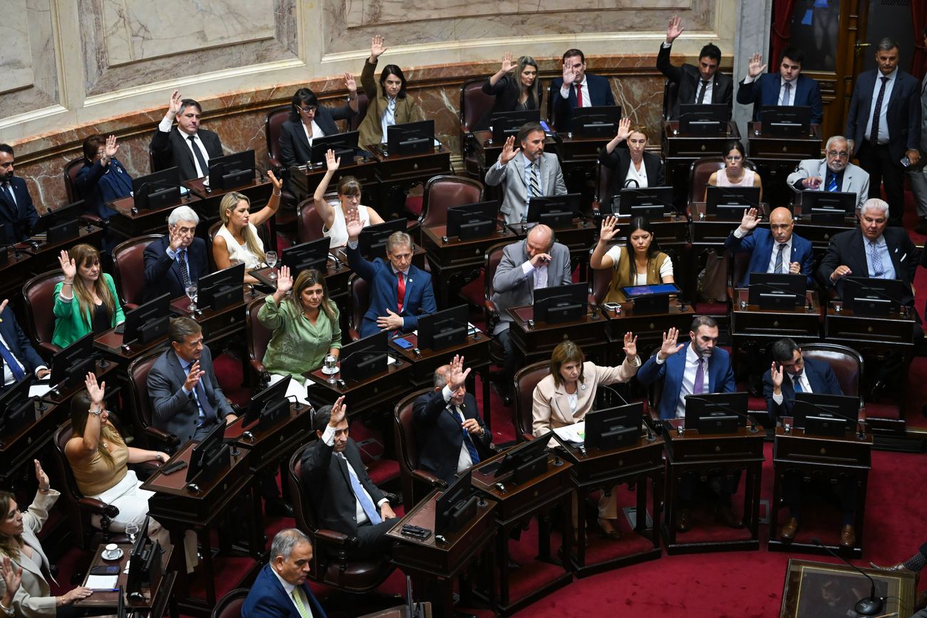 Sesión preparatoria en el Senado (Foto: Comunicación Senado)