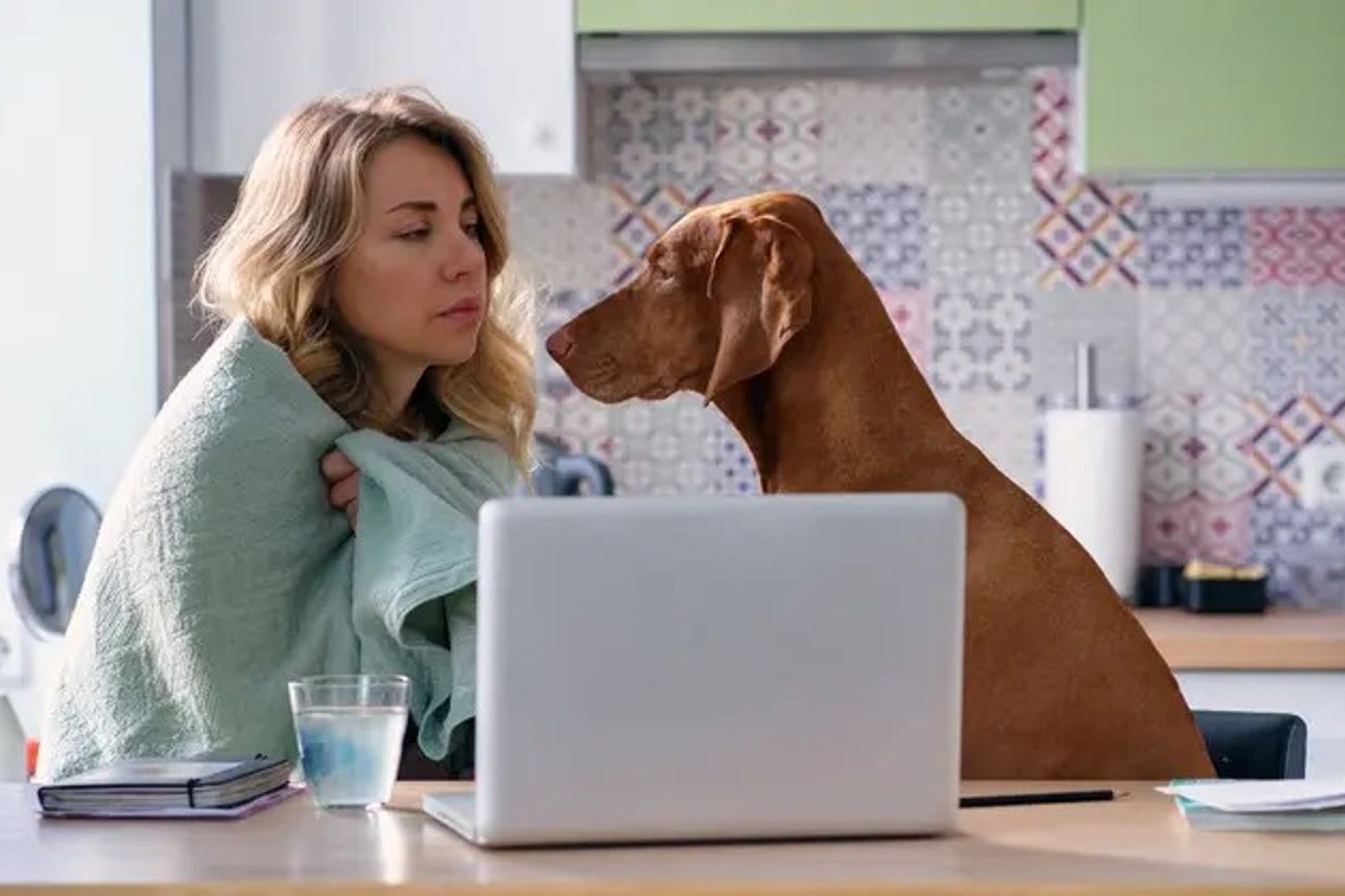 ¿Qué siente tu perro cuando estás triste? Lo que revela la ciencia sobre cómo detecta tus emociones.
