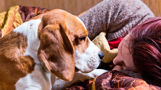 ¿Qué siente tu perro cuando estás triste? Lo que revela la ciencia sobre cómo detecta tus emociones.