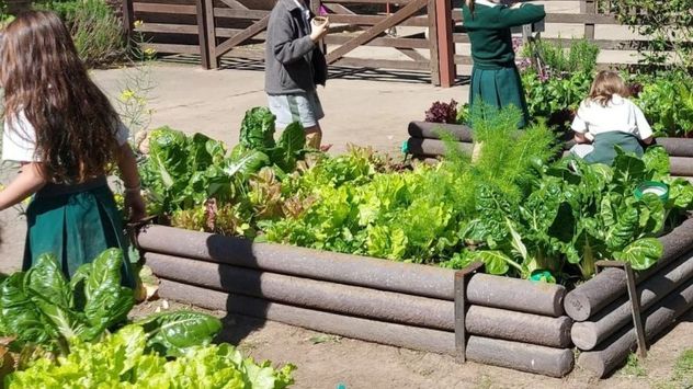 El exclusivo colegio de Mirko: cómo es la escuela alemana trilingüe a la que asiste.