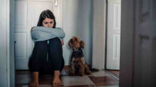 ¿Qué siente tu perro cuando estás triste? Lo que revela la ciencia sobre cómo detecta tus emociones.