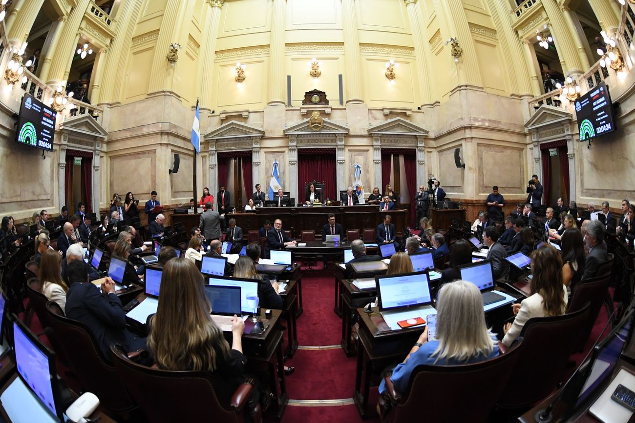 Sesión en el Senado por la Ley Penal Juvenil y la reforma laboral (Foto: Comunicación Senado)