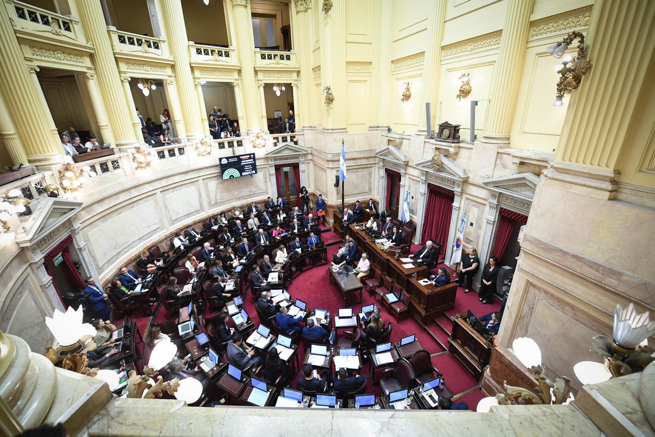 Sesión en el Senado por la Ley Penal Juvenil y la reforma laboral (Foto: Comunicación Senado)