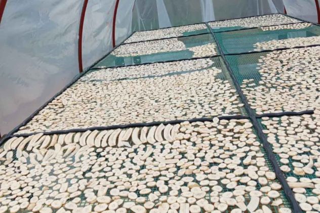 Una comunidad del norte de Argentina impulsó, junto con la ayuda del Instituto Nacional de Tecnología Agropecuaria (Inta), una producción colectiva de alimentos naturales y ya tienen pedidos de Buenos Aires, Santa Fe y Chaco.