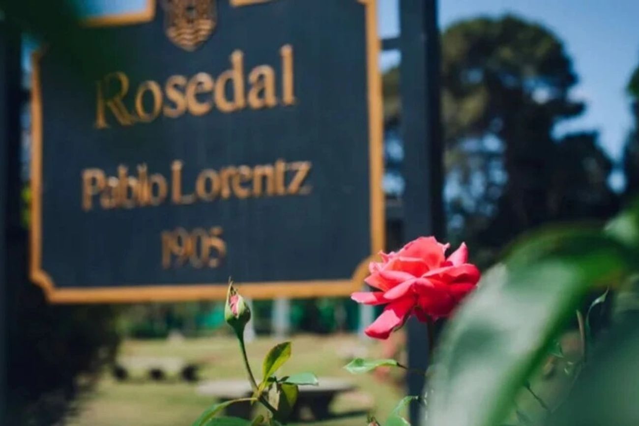 El jardín escondido de Córdoba con más de 300 rosas y diseño europeo.