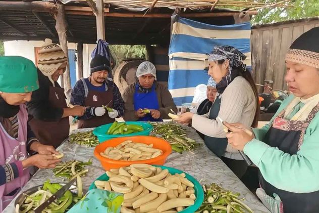 Una comunidad del norte de Argentina impulsó, junto con la ayuda del Instituto Nacional de Tecnología Agropecuaria (Inta), una producción colectiva de alimentos naturales y ya tienen pedidos de Buenos Aires, Santa Fe y Chaco.