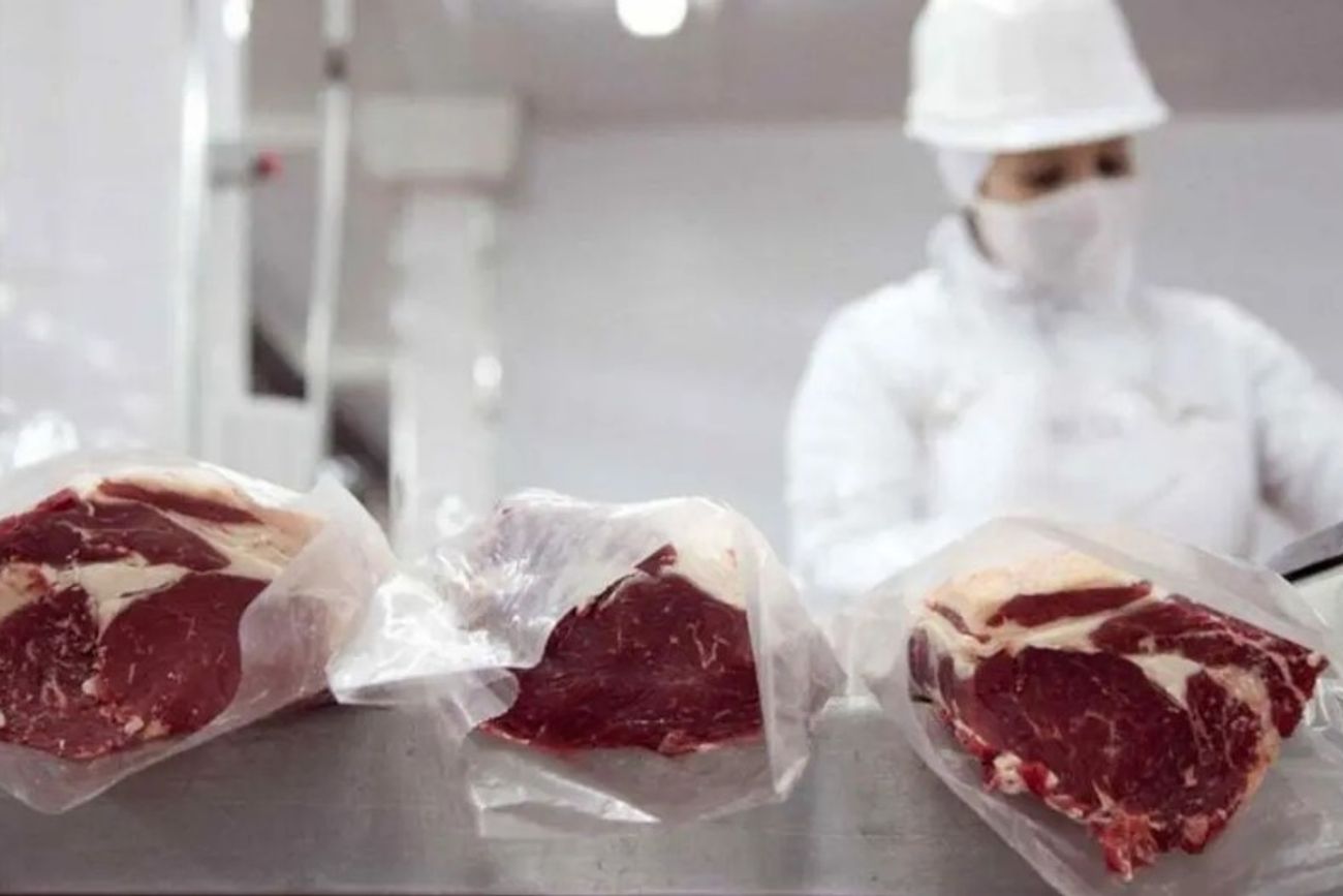 DEMANDA. La carne bovina muestra alta preferencia en el mercado mundial, en un escenario de menor oferta. (La Voz/Archivo)