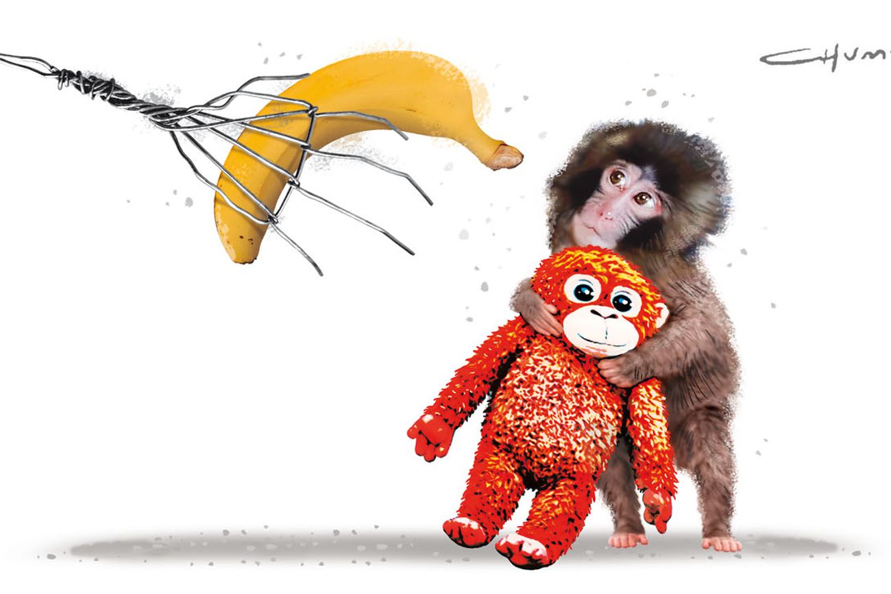Ilustración de Chumbi para Intersecciones. 