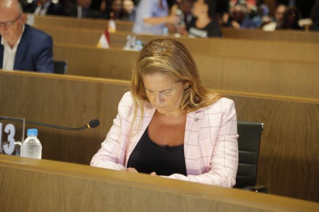 Apertura de sesiones del Concejo Deliberante en Córdoba, el discurso de Daniel Passerini. (Jorge Peñaranda/La Voz)