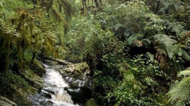 La aldea de estilo europeo escondida en la selva del norte argentino.