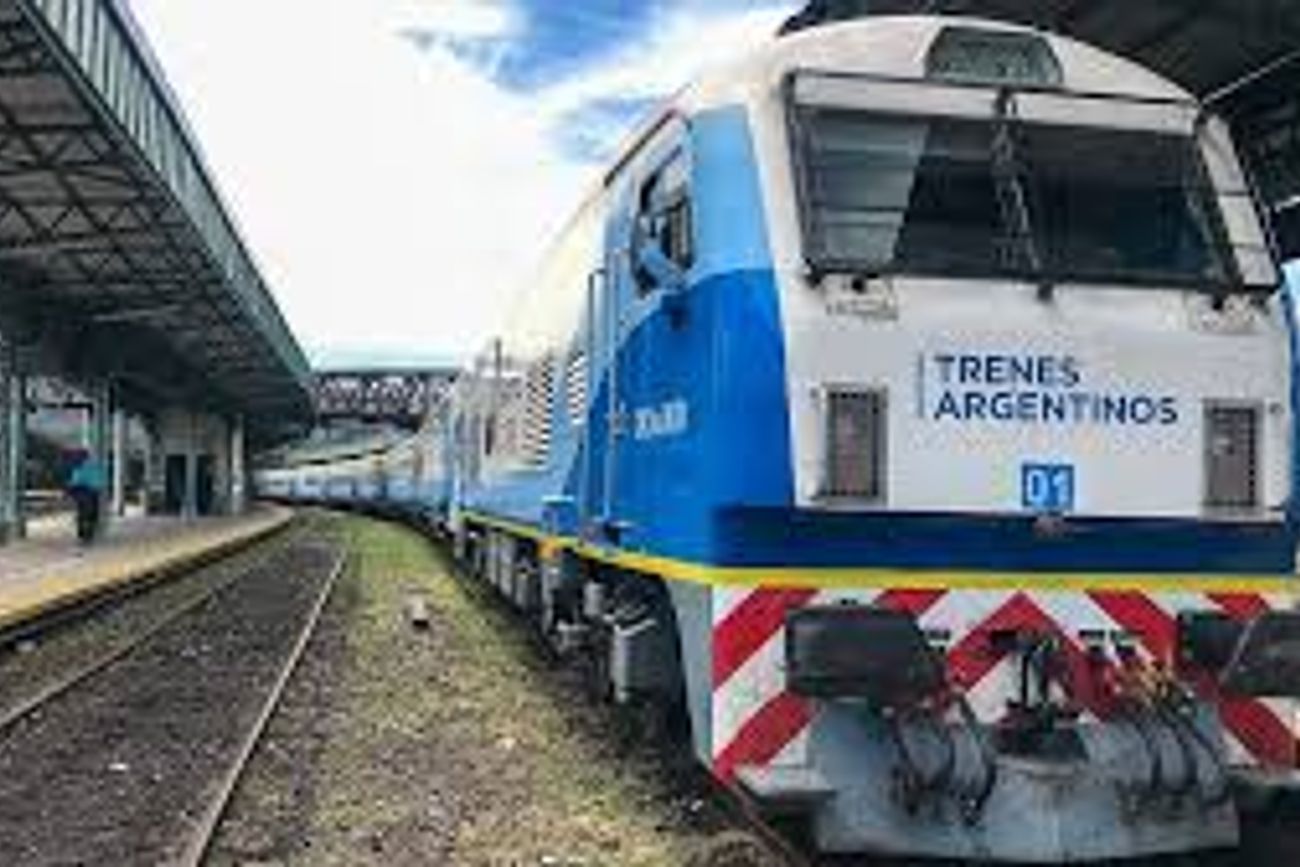 A Mar del Plata con tu mejor amigo: debuta el servicio "pet friendly" en los trenes para este marzo.