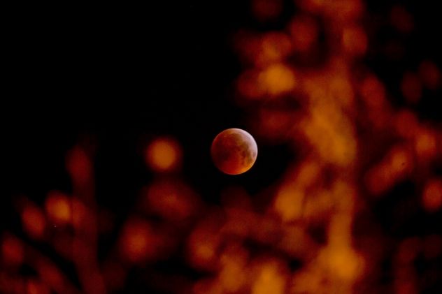 Luna roja o luna de sangre. 