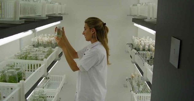 Bioceres es una de las empresas pioneras de la biotecnología aplicada al agro argentino