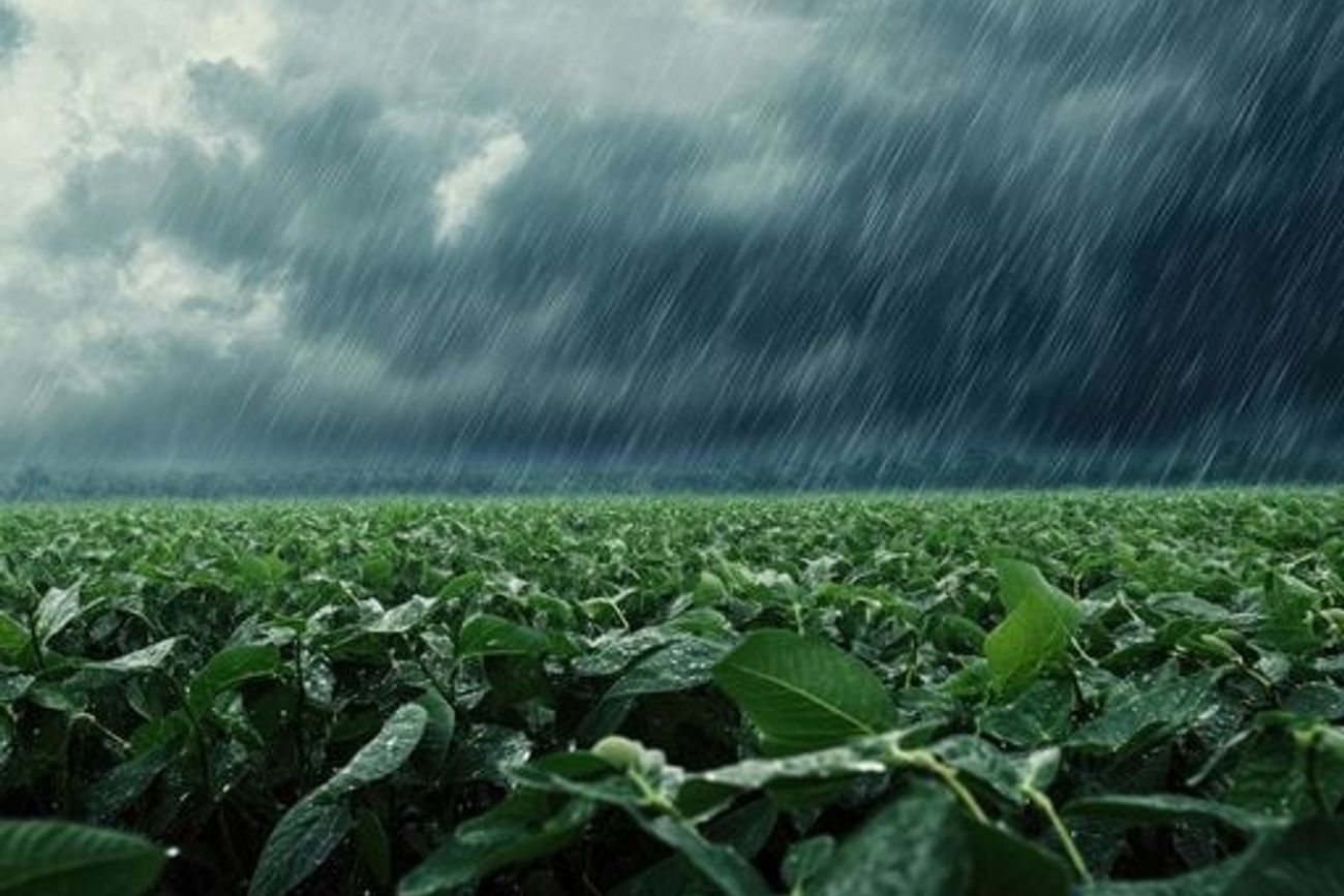 LLUVIAS. Durante la primera semana de abril se registraron acumulaciones por más de 150 milímetros. (Gentileza: Meteored)