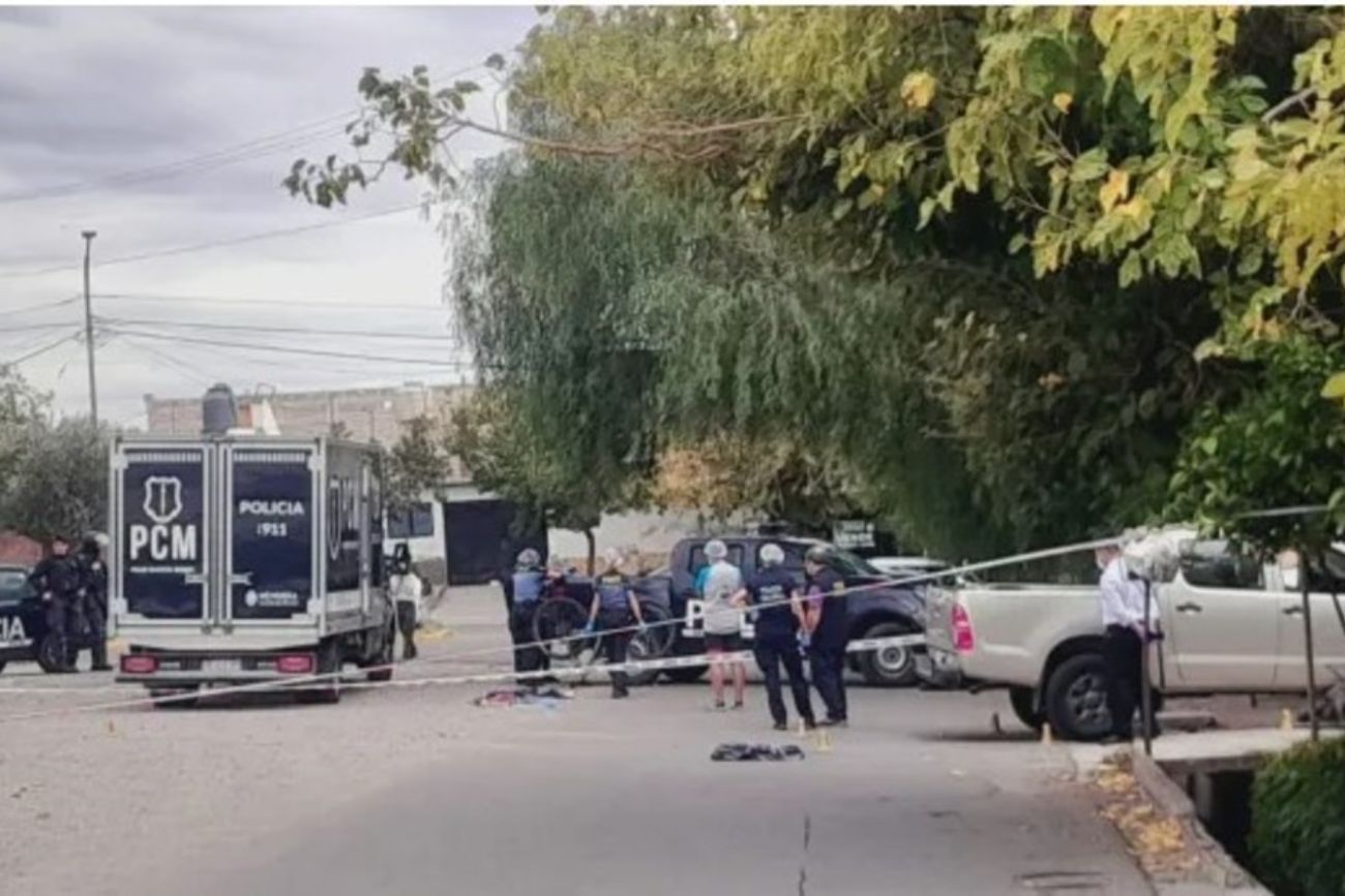 Persiguió en camioneta a dos ladrones tras el robo de su bicicleta y atropelló a uno: murió en el lugar