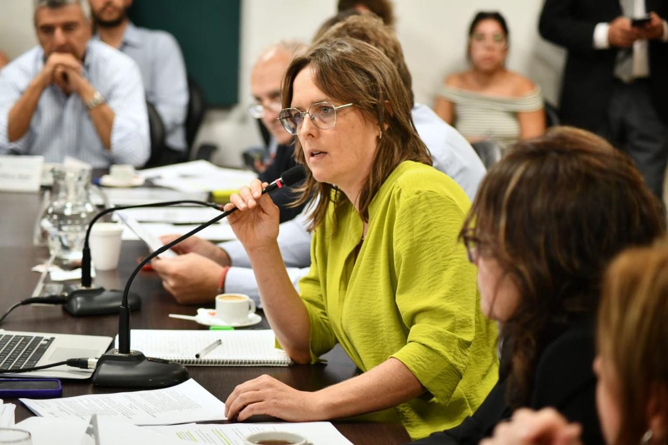 La radical Brenda Austin pedirá se trate un proyecto sobre el salario docente.