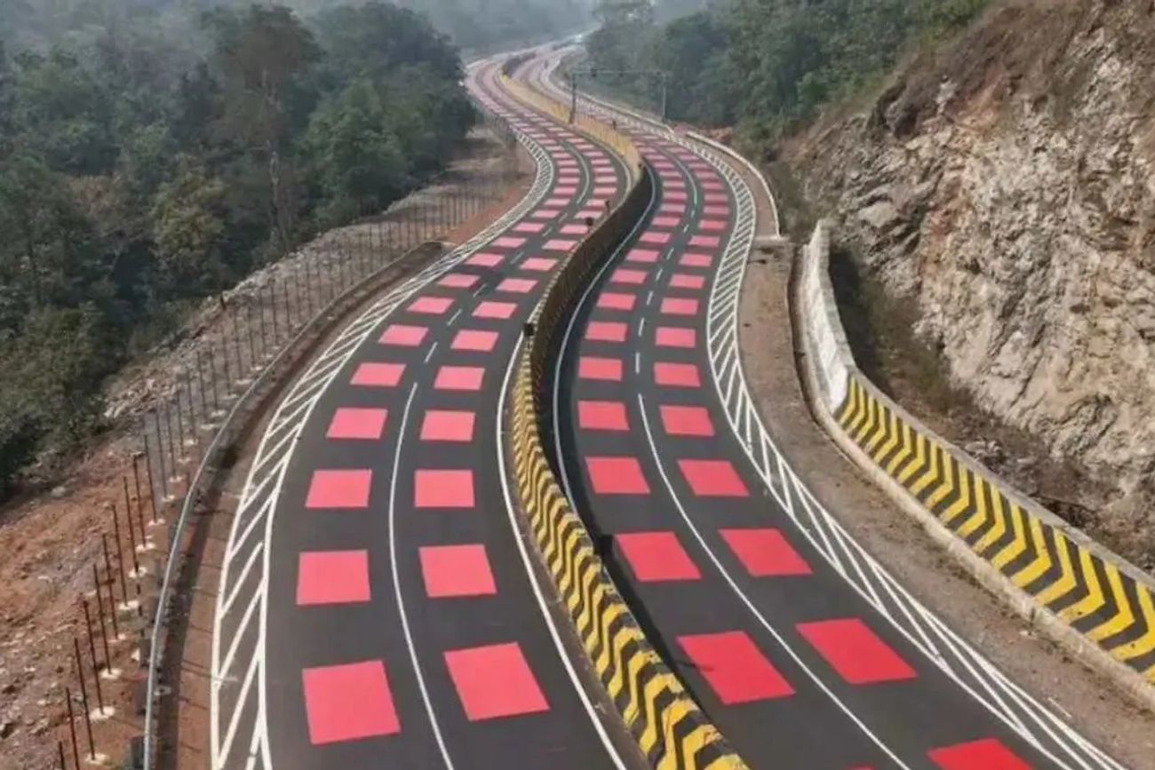 La primera “ruta roja” del mundo: la innovadora solución para proteger animales y evitar accidentes.