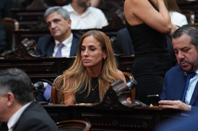 La diputada de Unión por la Patria y exministra de Desarrollo Social Victoria Tolosa Paz. (Foto: HCDN)