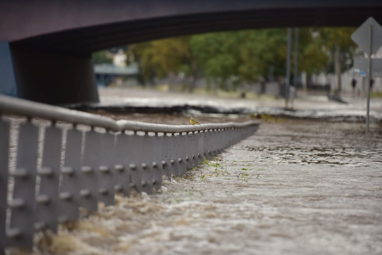 La lluvia en Córdoba capital: sin evacuados, corte total en Costanera y el río Suquía podría crecer más