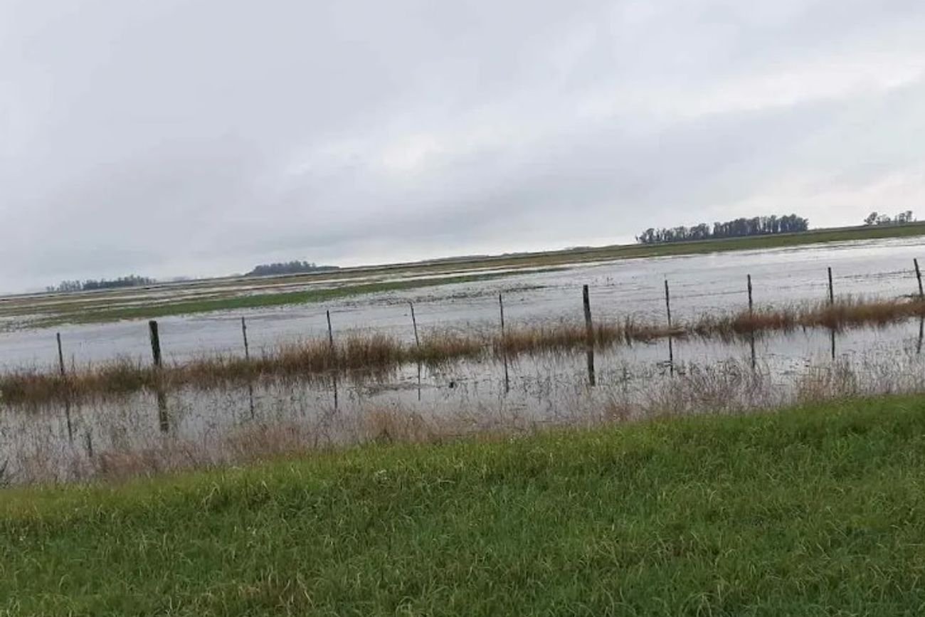 LLUVIAS. Los acumulados rozan los 100 milímetros. (LaVoz / Archivo)