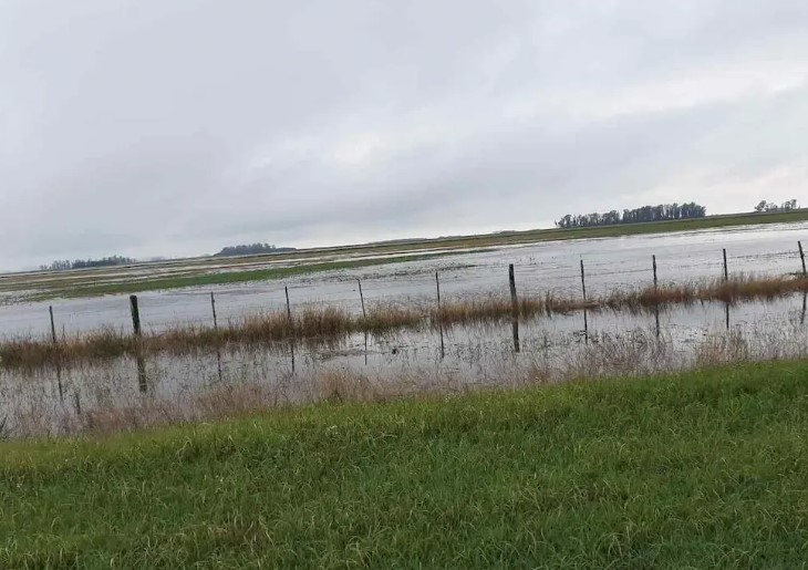 LLUVIAS. Hay un 97% de probabilidades que El Niño se extienda hasta principios de la primavera de 2027. (LaVoz / Archivo)