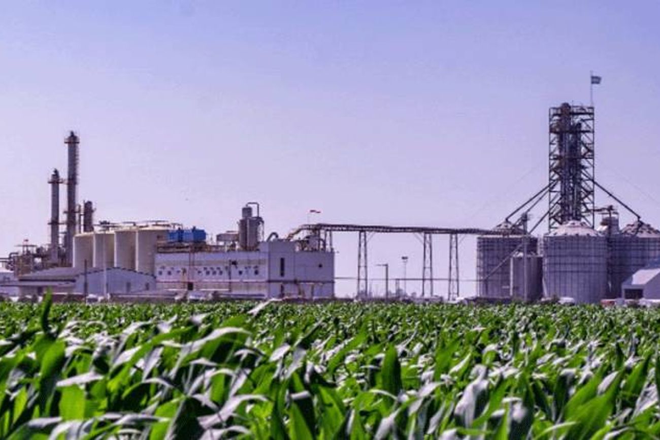 BIOCOMBUSTIBLES. La industria del etanol espera un nuevo marco legal para llevar a cabo nuevas inversiones.