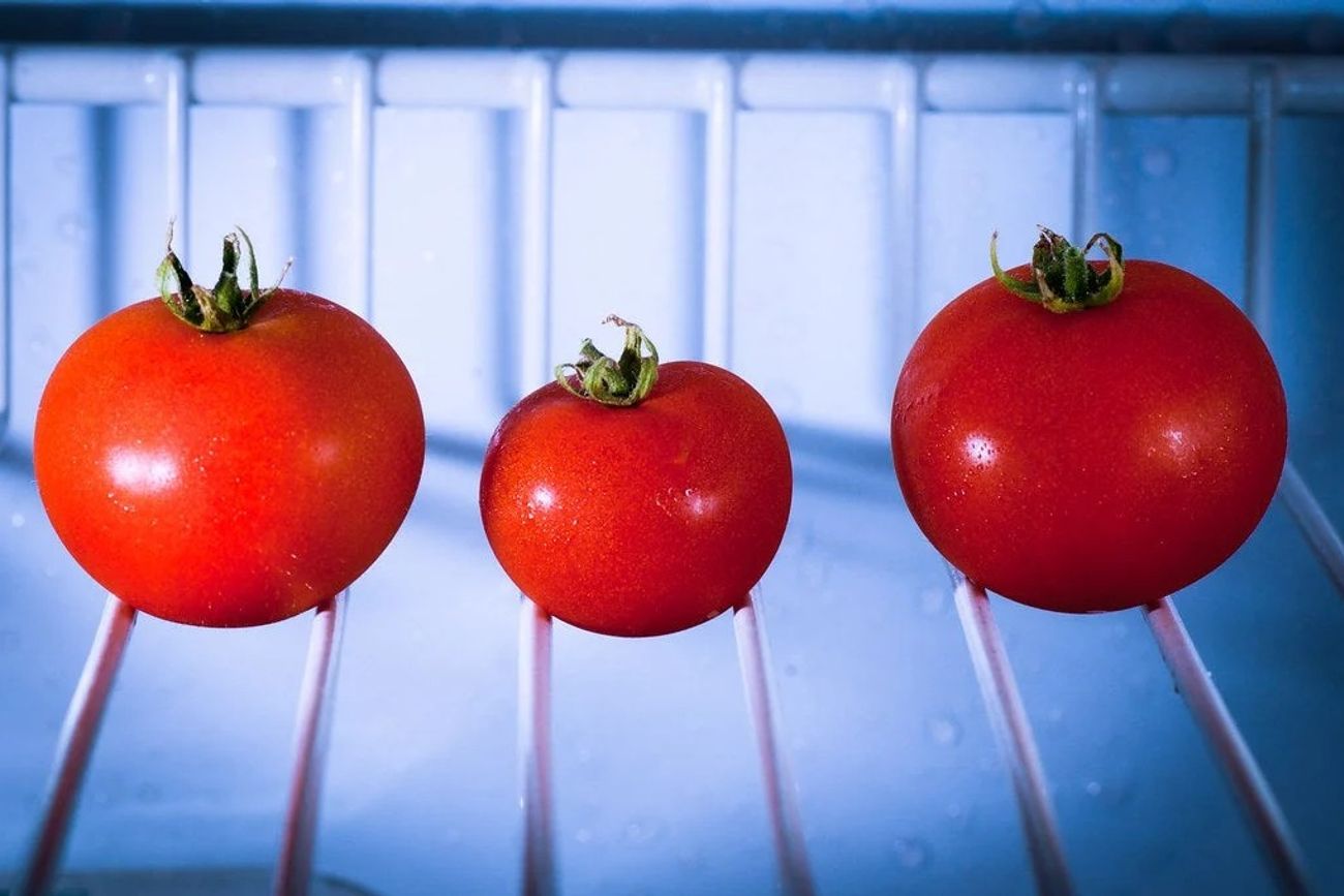 El fin del mito: por qué guardar los tomates en la heladera es el error más común en la cocina.
