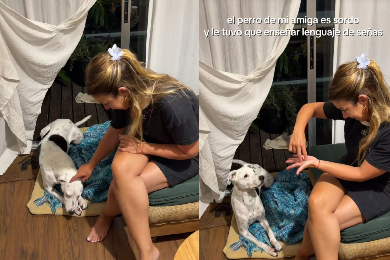 Le enseñó lenguaje de señas a su perro.