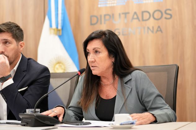 Laura Rodríguez Machado, diputada nacional PRO aliada de La Libertad Avanza. 