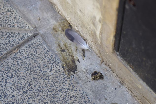 Varios sectores del Centro de la ciudad de Córdoba presentan olores desagradables. (La Voz)