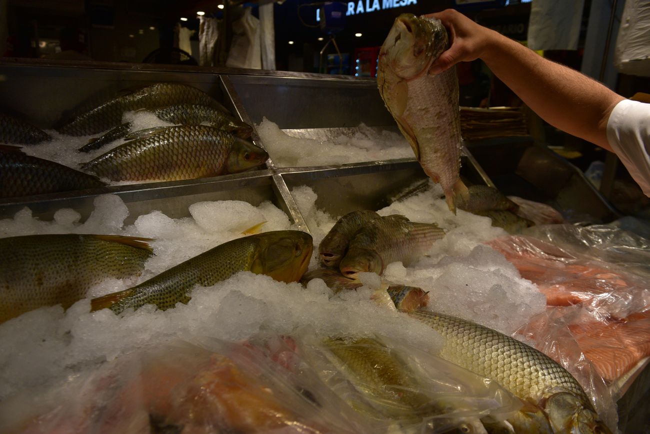 Se mantiene el precio de pescados y mariscos en Mercado Norte y prevén una gran demanda. 