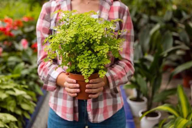 Los mejores días para cultivar plantas en tu jardín en marzo, según la astrología.