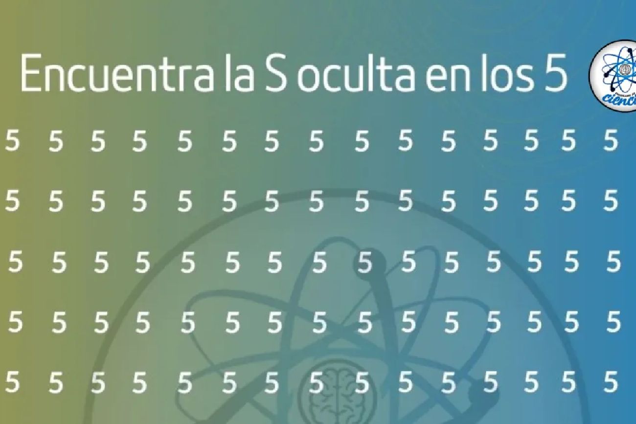 El acertijo visual.