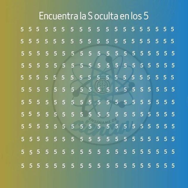El acertijo visual.