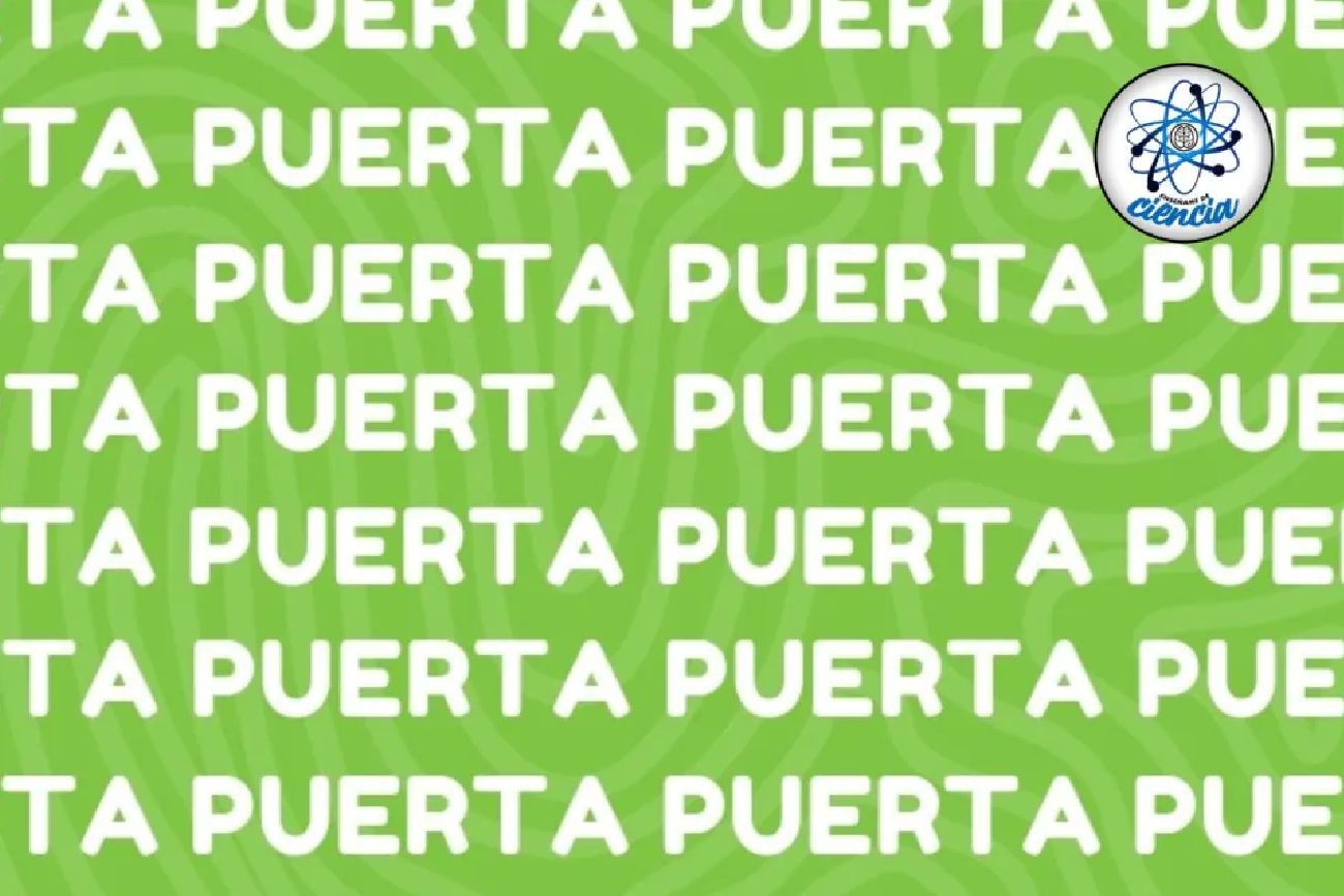 Acertijo visual difícil: encontrá la palabra “lobo” en la sopa de letras