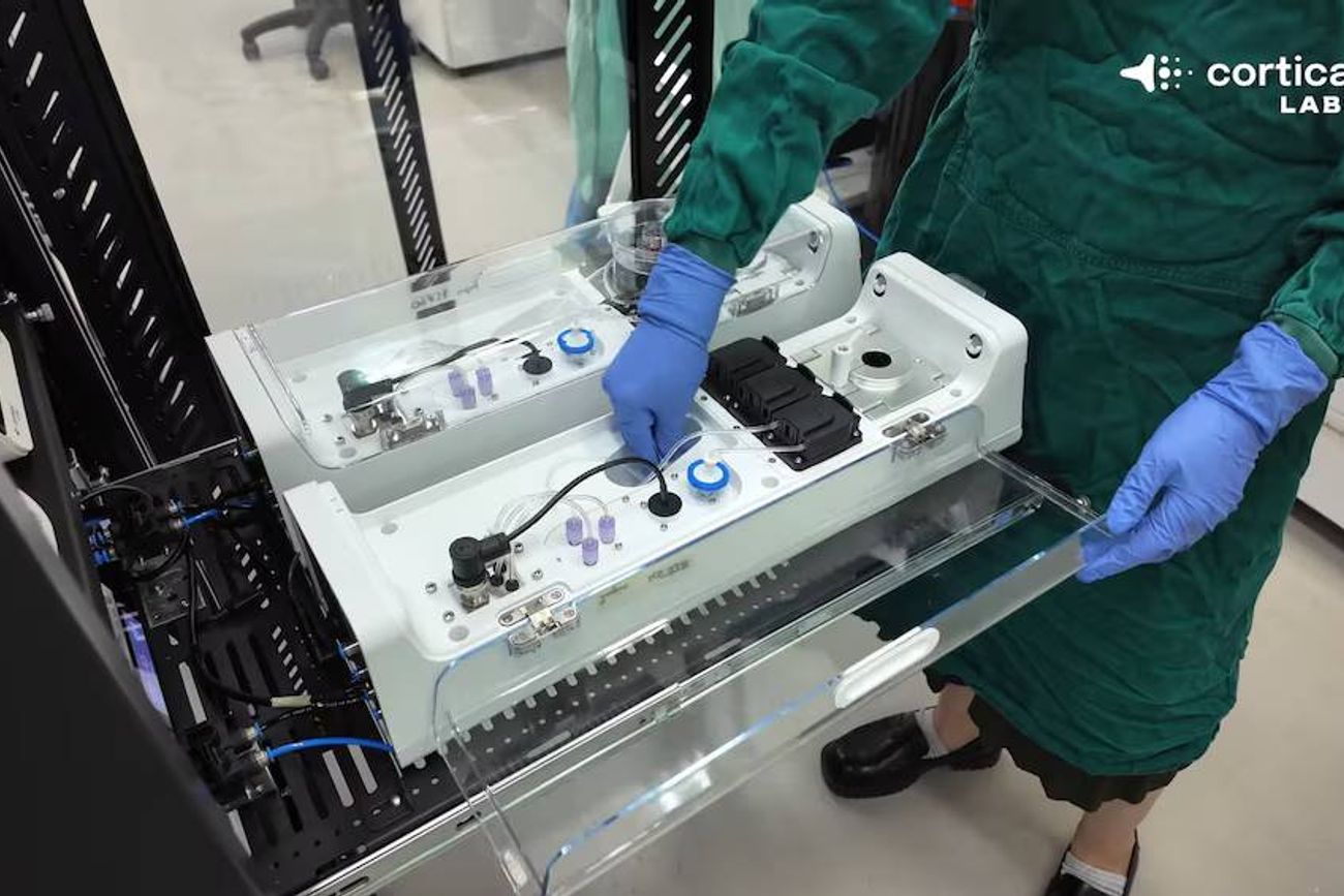 Cortical Labs presentó oficialmente la primera computadora biológica comercial del mundo, capaz de integrar tejido cerebral humano vivo con microchips de silicio.