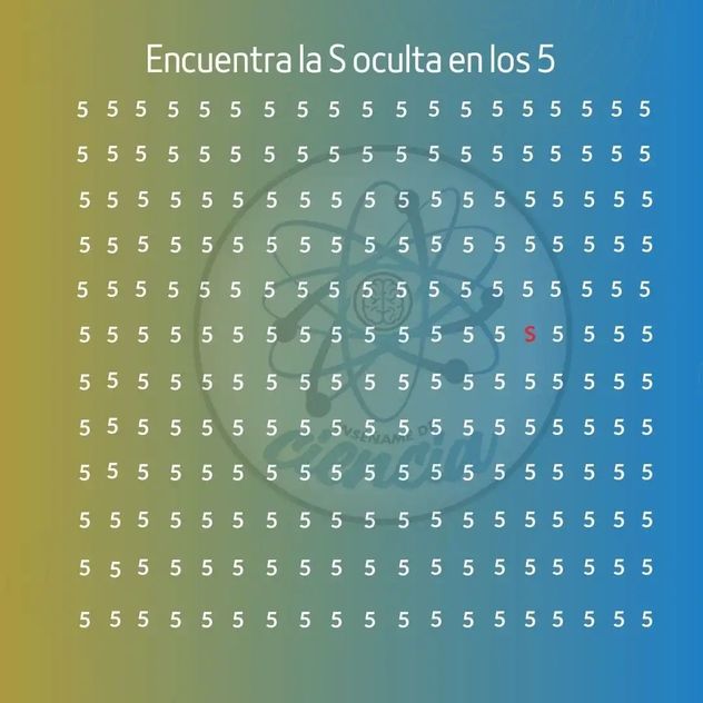 El acertijo visual.