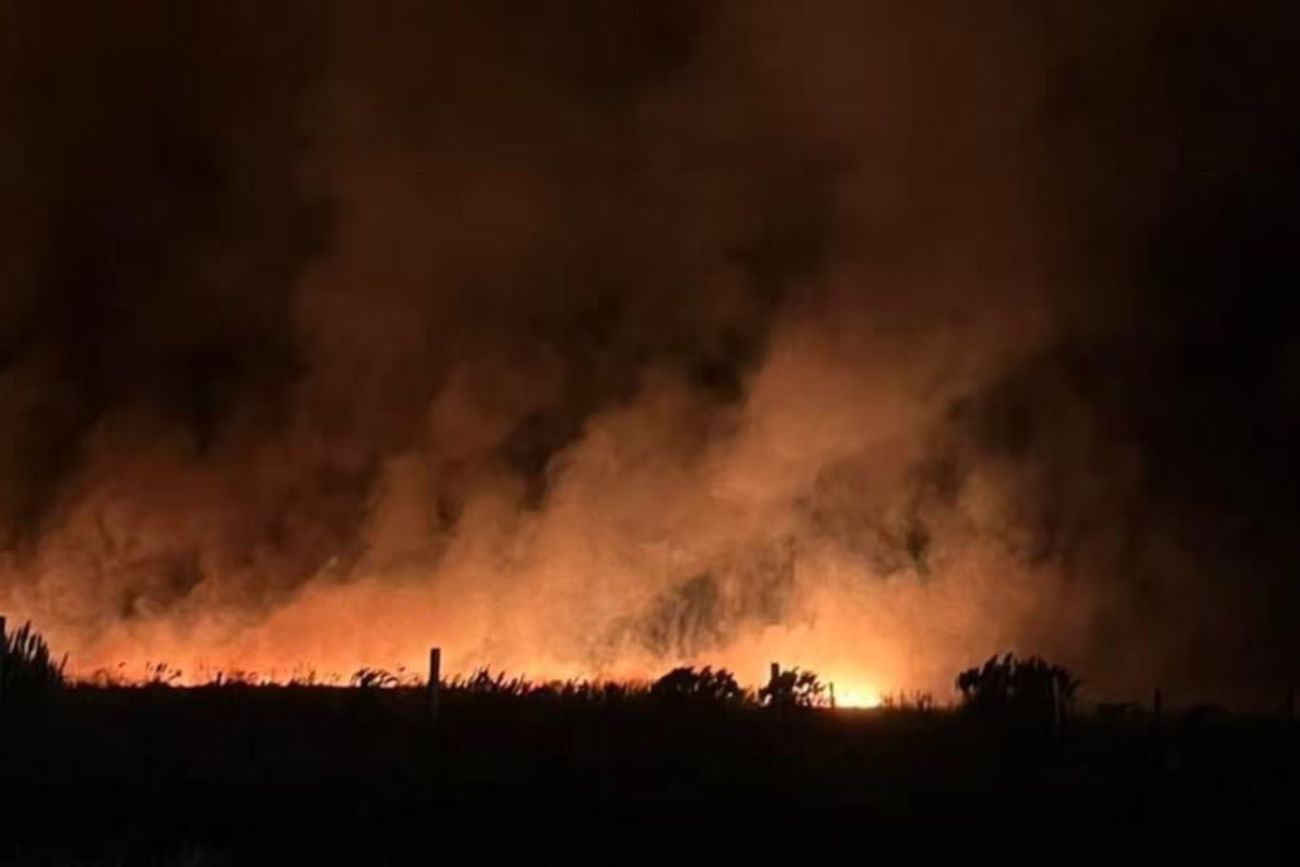 Incendios en Mar del Plata.