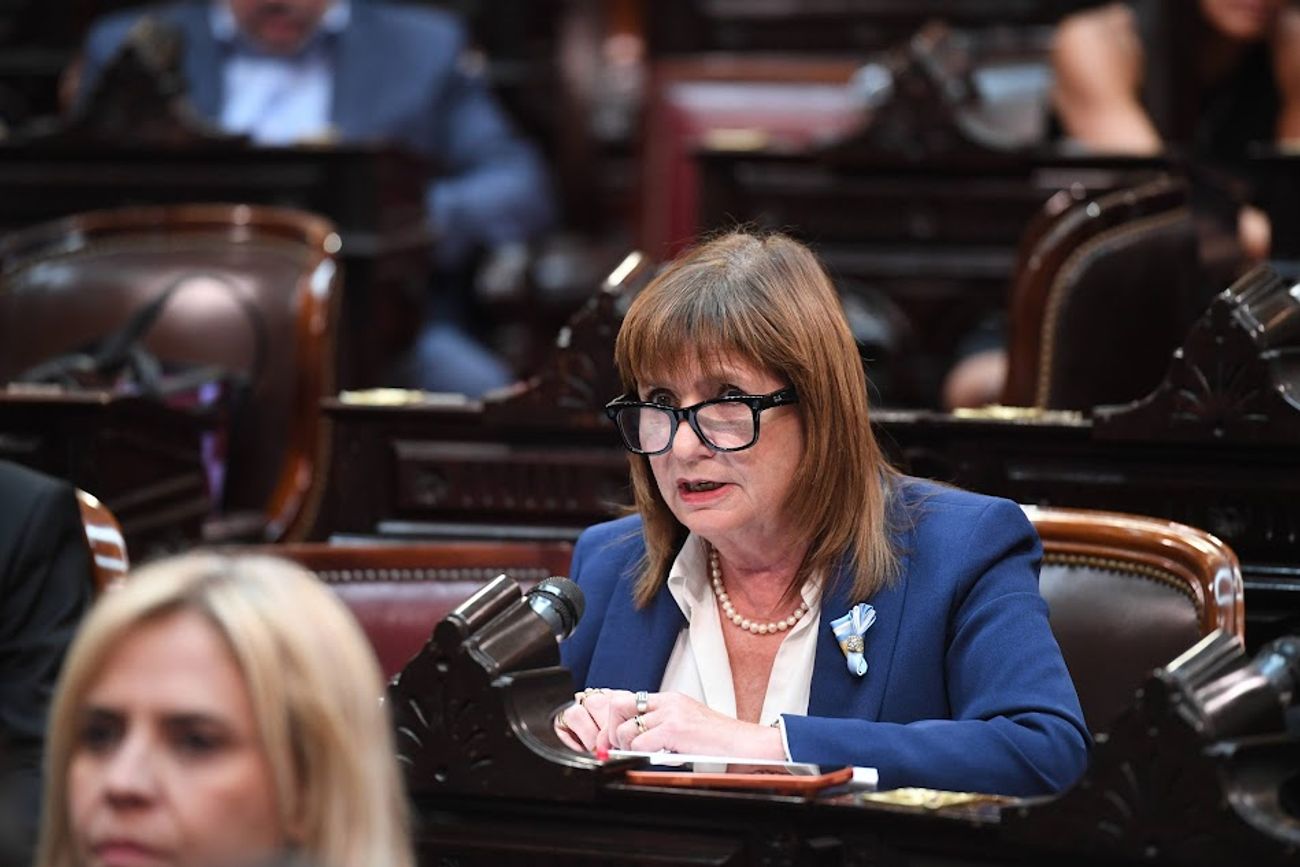 La jefa del bloque de senadores oficialistas, Patricia Bullrich (Foto: Comunicación Senado)