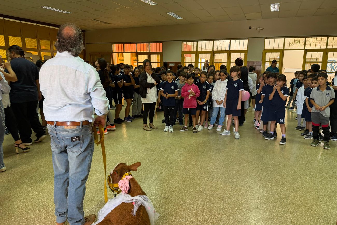 En Hernando, los chicos de una escuela volvieron a tener "una mascota".