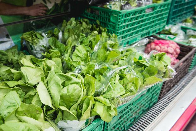La lechuga es una de las verduras más consumidas por los argentinos