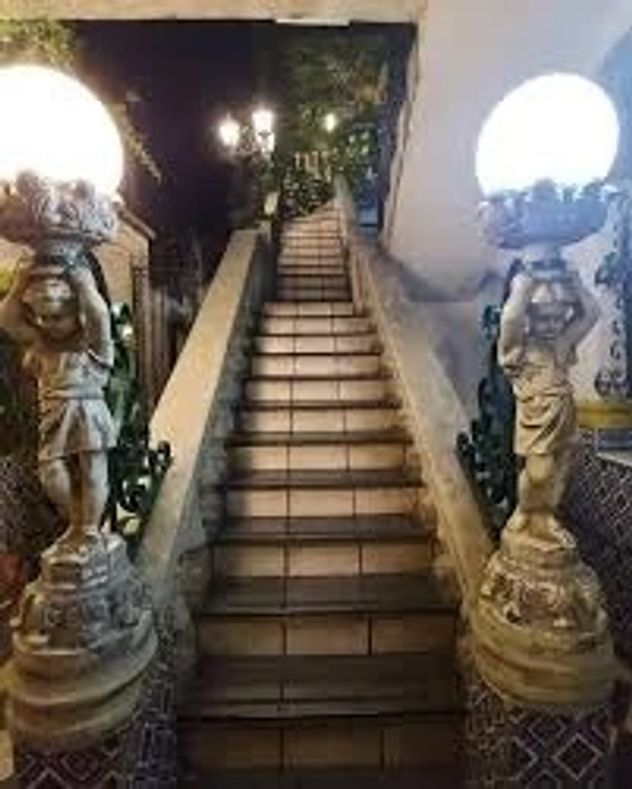 El bar oculto de San Telmo con 500 especies de plantas que es furor en Buenos Aires.