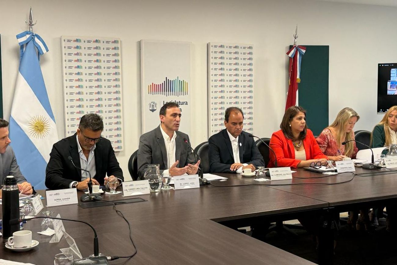El ministro Julián López y su equipo presentaron el proyecto de Ley Joaquín en la Legislatura.