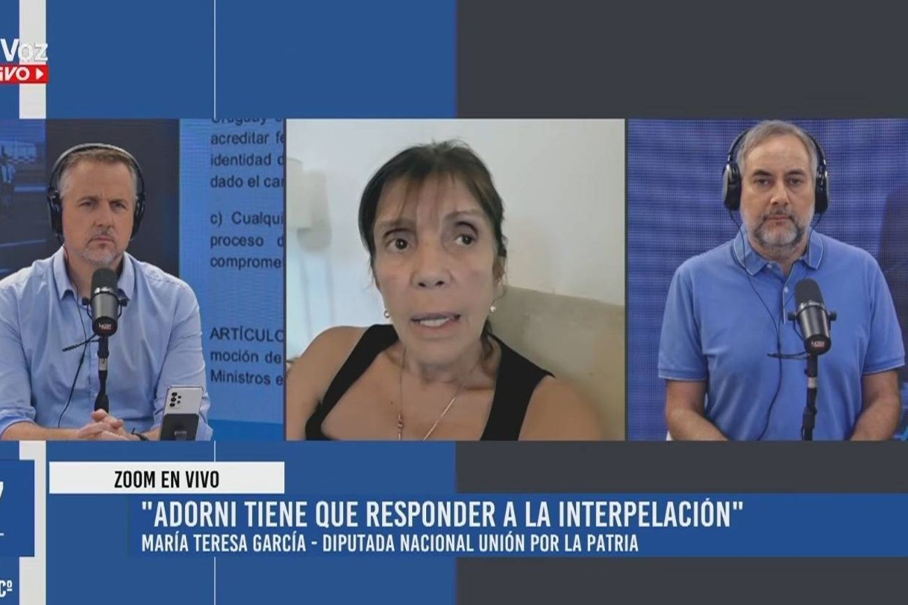El pedido de interpelación a Manuel Adorni para que se presente en el Congreso a explicar el viaje a EE.UU. con su esposa. 
